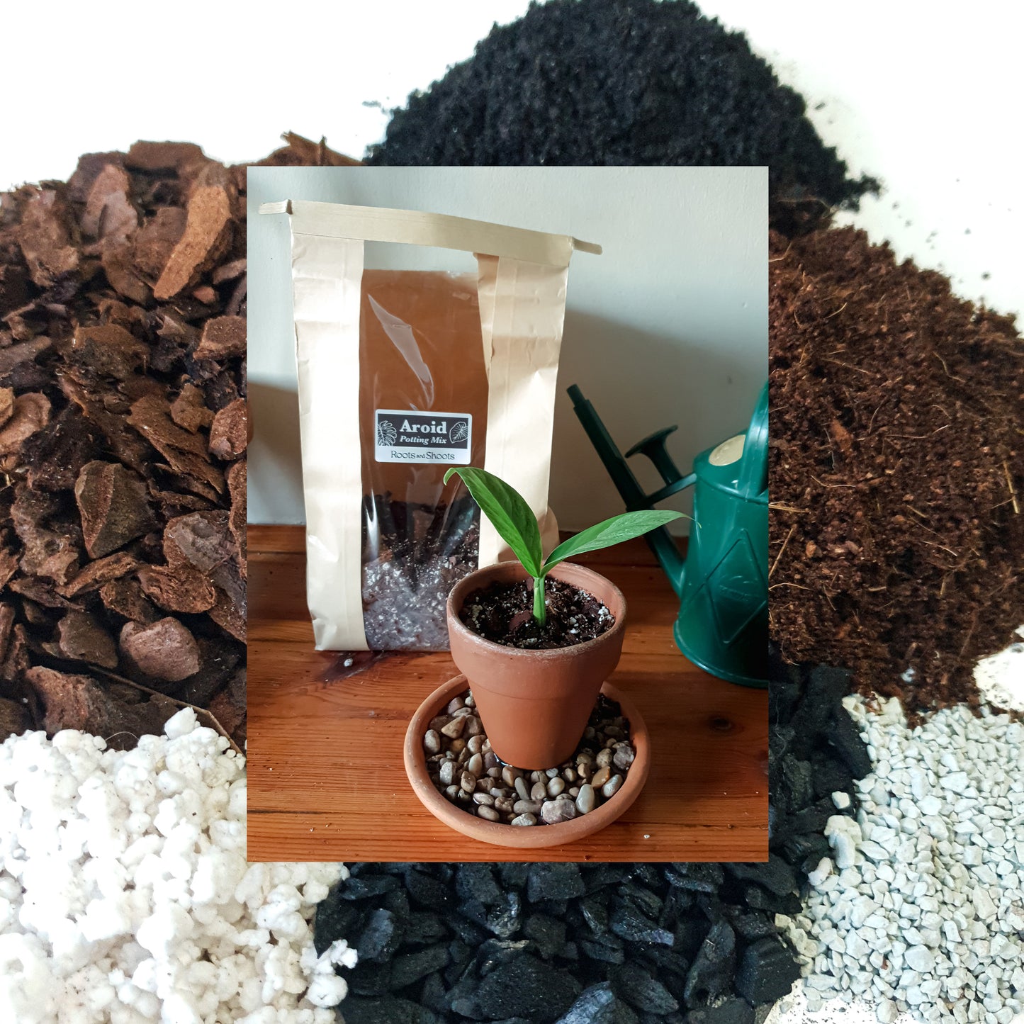Aroid Potting Mix