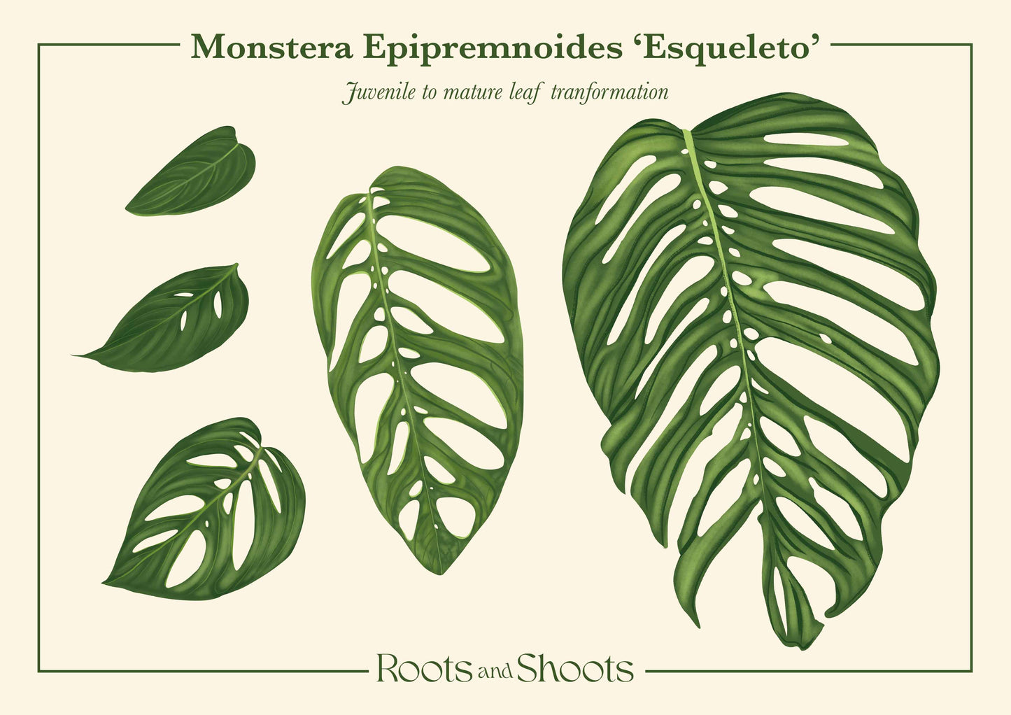 Monstera Epipremnoides Esqueleto Digital Print