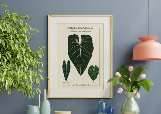 Philodendron Glorious – Melanochrysum x Gloriosum Digital Print
